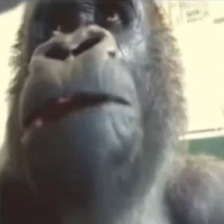 😮