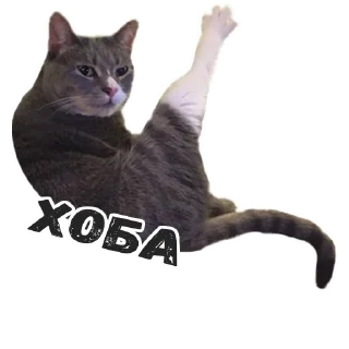 👆