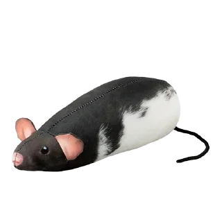 🐭