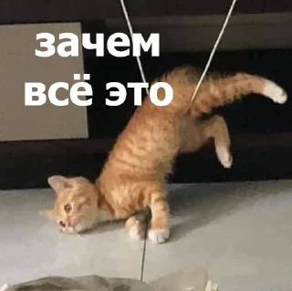 😒