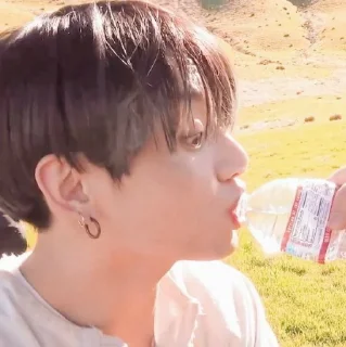 🐰