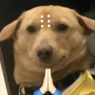 🙏