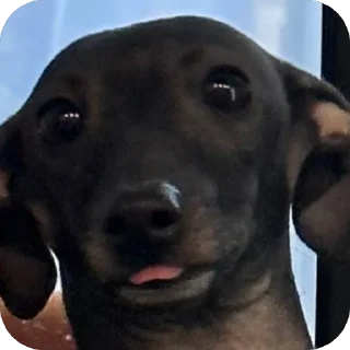 🤨