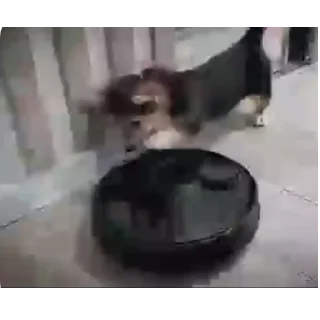 👍