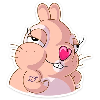 🐰