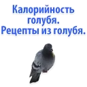 😂