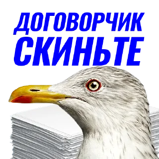 📝