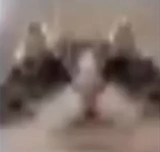 🤩