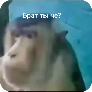 😏