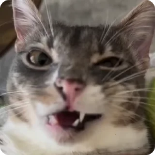 😈