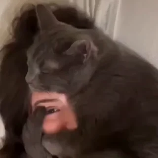 🤗