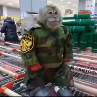 👌