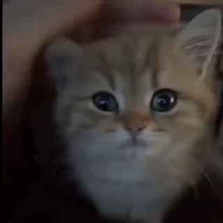 😐