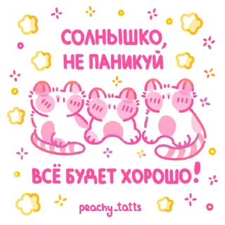 🐈