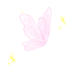 ✨