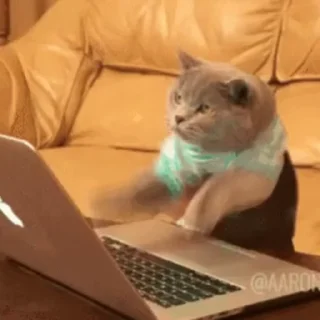 ⌨