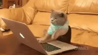 💻