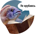 🐟
