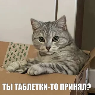 💊
