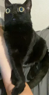 😐