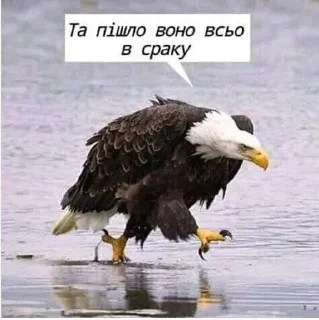 🤨