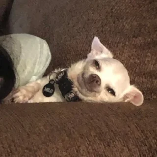 🙃