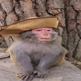 😲