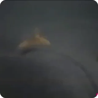 👊