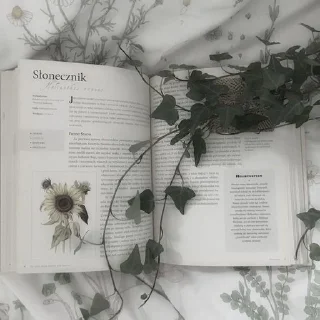 📗