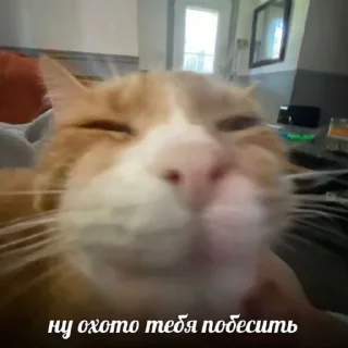 😏
