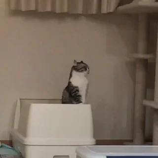 🙁