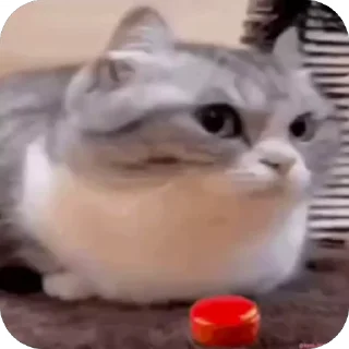 💥