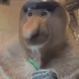 🤨
