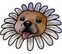 🌸
