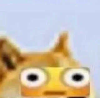 😳