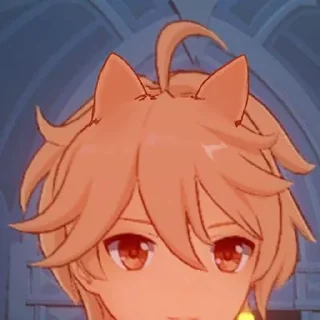 😽