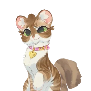 🐱