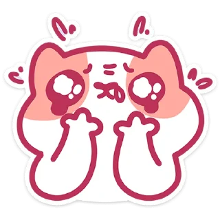 🐱