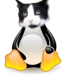 🐧
