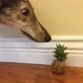 😱