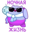 😎