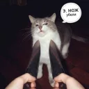 🔪