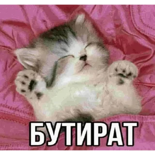 🛌