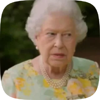 👑