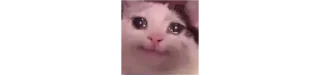🥺