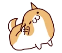 🐶