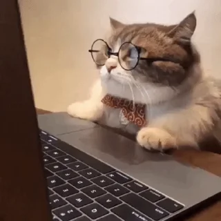 🤓