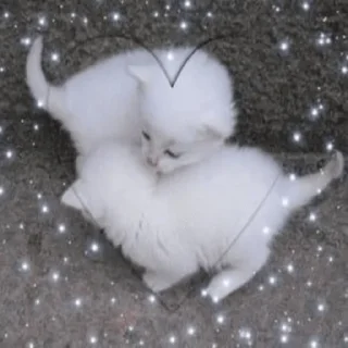 💗