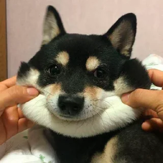 ☺️