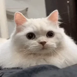 🤨